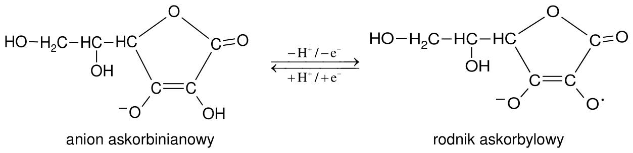 anion askorbinianowy <=> rodnik askorbylowy (−H+/−e−  /  +H+/+e−)