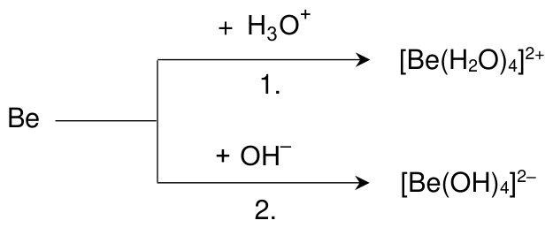 Schemat: Be reaguje z H3O+ (reakcja 1.) dając [Be(H2O)4]2+, oraz z OH- (reakcja 2.) dając [Be(OH)4]2-